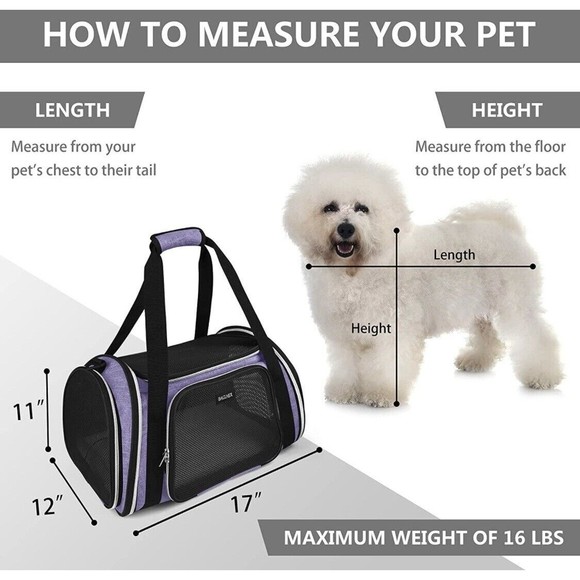 BAGLHER Pet Travel Carrier, Cat Carriers Dog Carrier for Small Medium Cat Or Dog - Picture 7 of 12